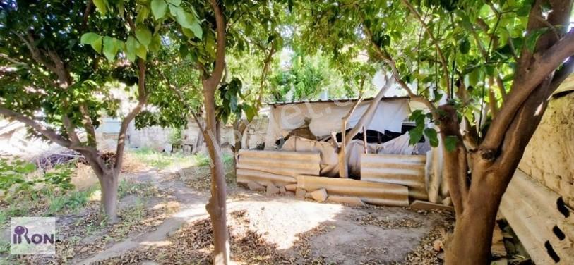 Çine Sarıoğlu 3 Kat İmarlı, 14 Metre Yol Cepheli 271m² Satılık — fotoğraf 13
