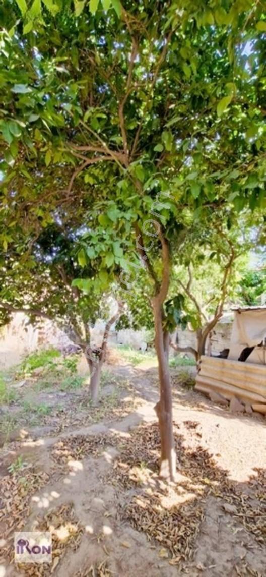 Çine Sarıoğlu 3 Kat İmarlı, 14 Metre Yol Cepheli 271m² Satılık — fotoğraf 16