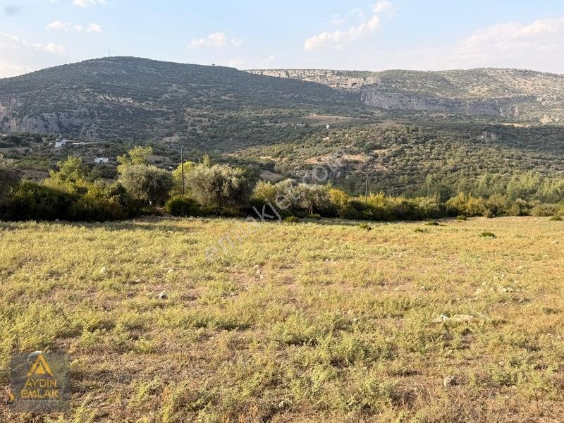 Aydın 'dan Karadirlik Mahallesinde Fırsat Fiyata 7472 M2 Tarla — fotoğraf 4