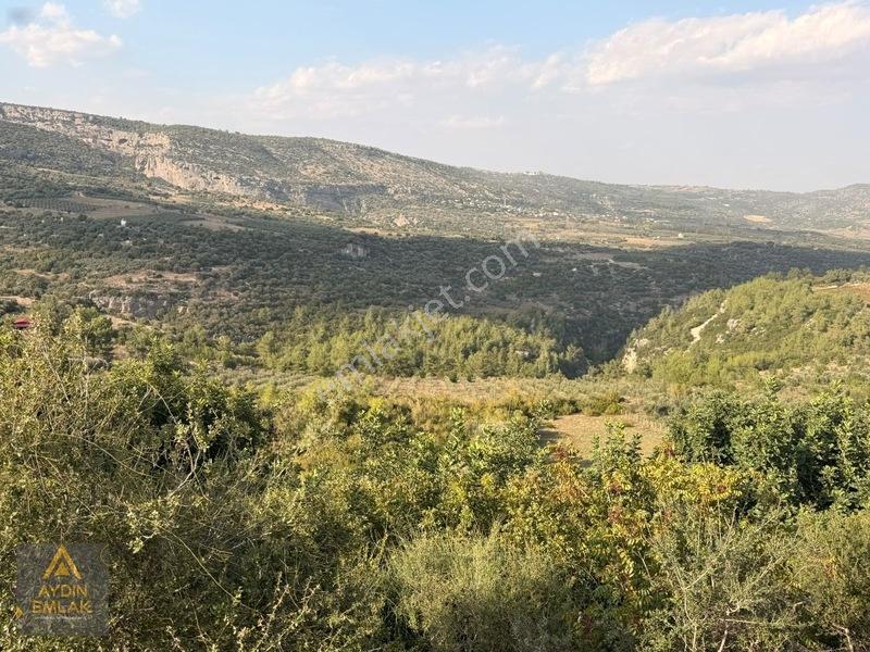 Aydın 'dan Karadirlik Mahallesinde Fırsat Fiyata 7472 M2 Tarla — fotoğraf 7