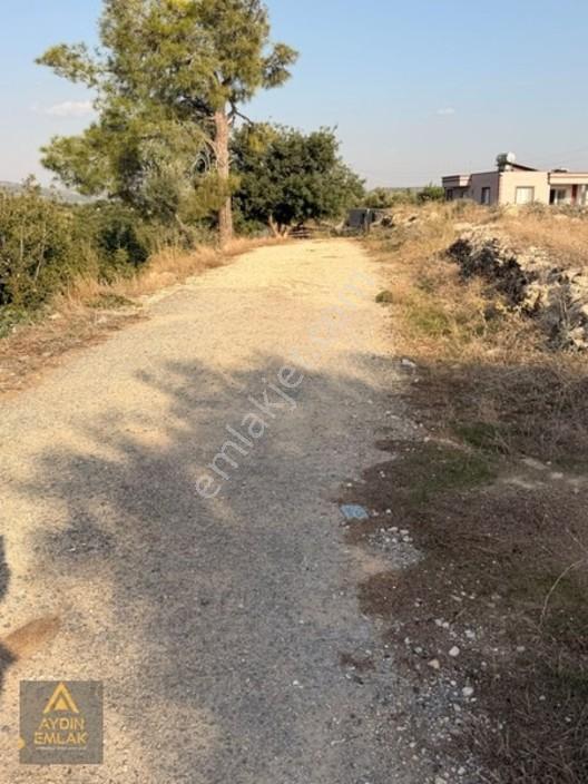 Aydın 'dan Karadirlik Mahallesinde Fırsat Fiyata 7472 M2 Tarla — fotoğraf 10