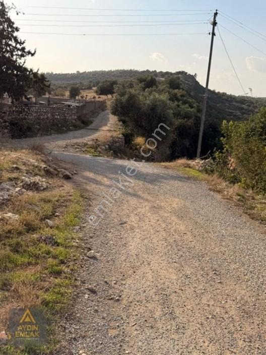 Aydın 'dan Karadirlik Mahallesinde Fırsat Fiyata 7472 M2 Tarla — fotoğraf 11
