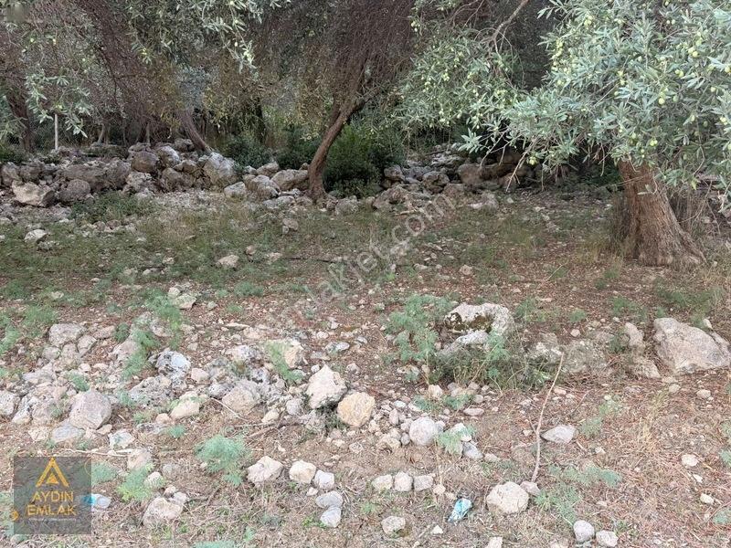 Aydın 'dan Karadirlik Mahallesinde Fırsat Fiyata 7472 M2 Tarla — fotoğraf 14