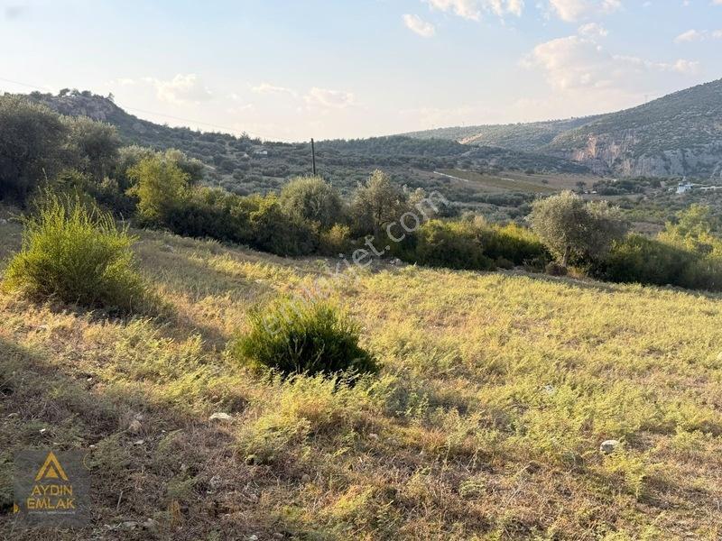Aydın 'dan Karadirlik Mahallesinde Fırsat Fiyata 7472 M2 Tarla — fotoğraf 15
