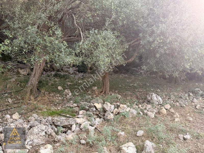 Aydın 'dan Karadirlik Mahallesinde Fırsat Fiyata 7472 M2 Tarla — fotoğraf 17