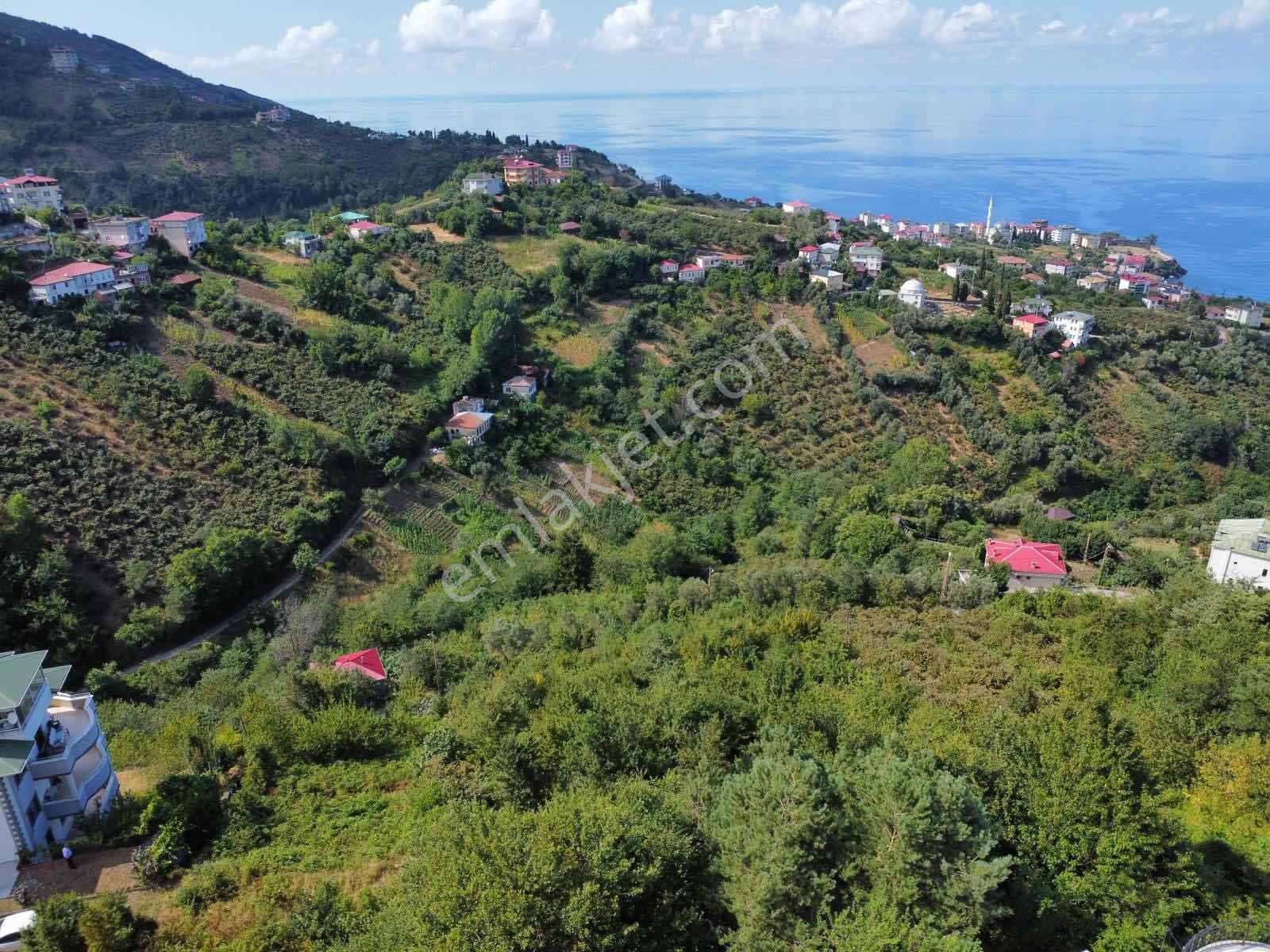 Trabzon Akçakale Manzaralı İmarlı Arsa Takasa Açık — fotoğraf 2