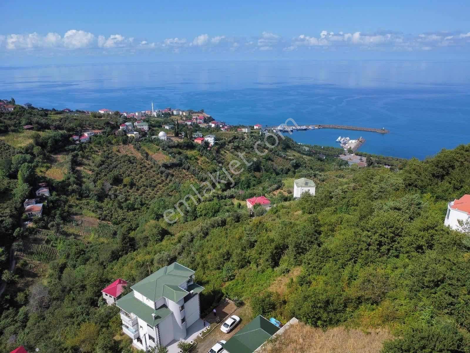 Trabzon Akçakale Manzaralı İmarlı Arsa Takasa Açık — fotoğraf 3