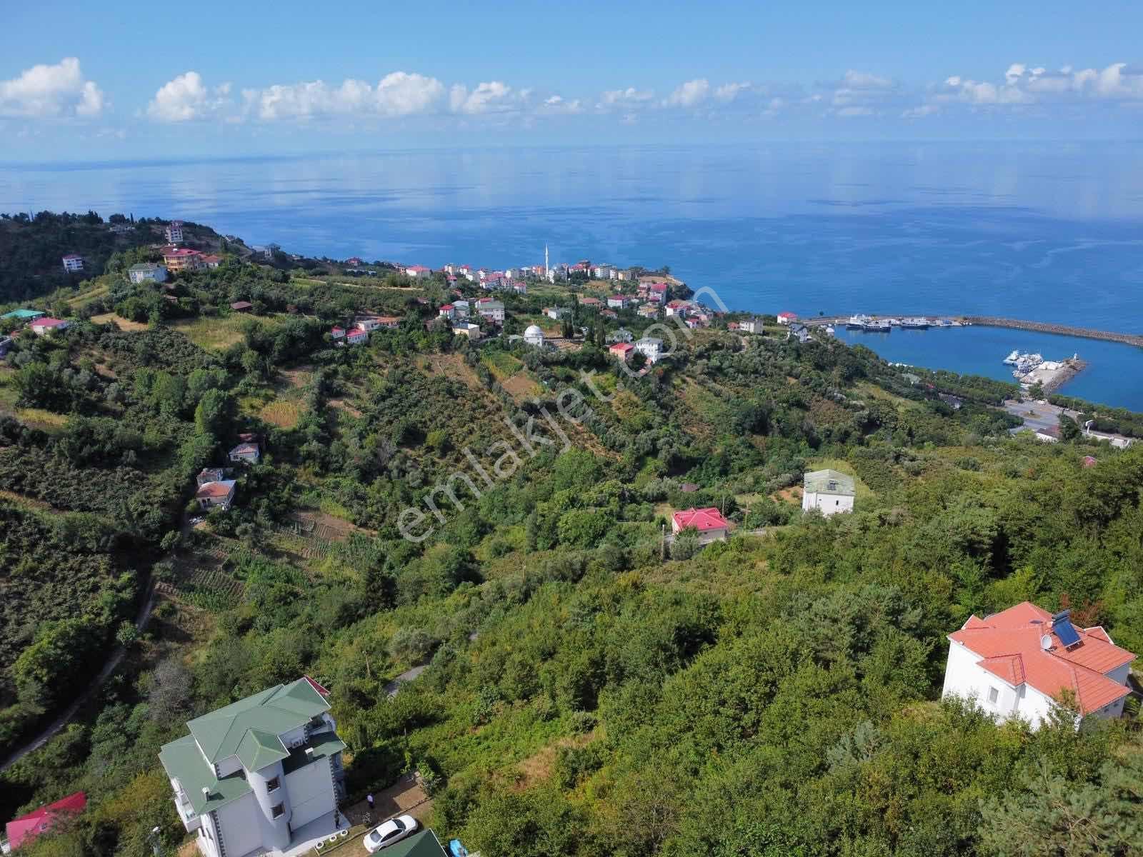 Trabzon Akçakale Manzaralı İmarlı Arsa Takasa Açık — fotoğraf 5