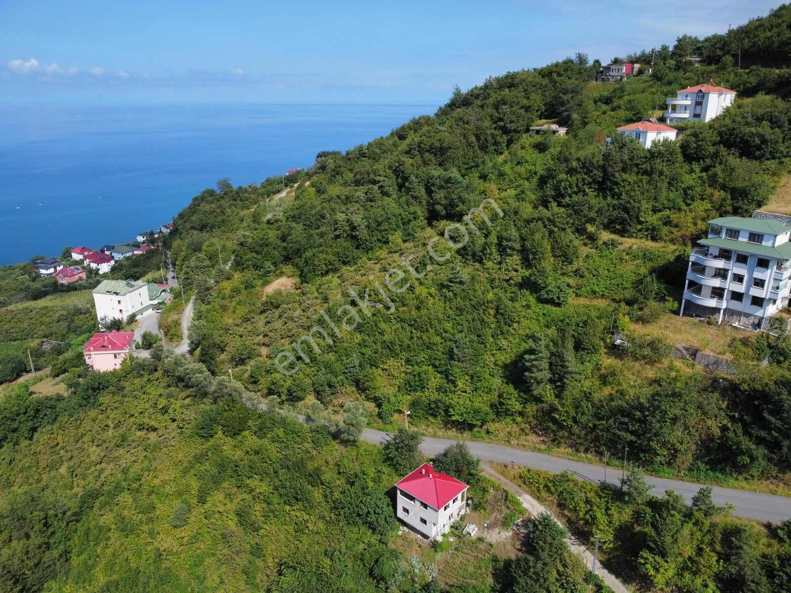 Trabzon Akçakale Manzaralı İmarlı Arsa Takasa Açık — fotoğraf 6