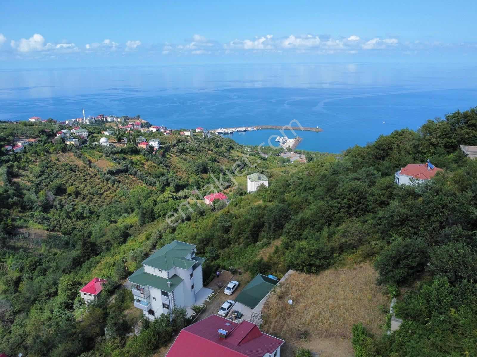 Trabzon Akçakale Manzaralı İmarlı Arsa Takasa Açık — fotoğraf 9