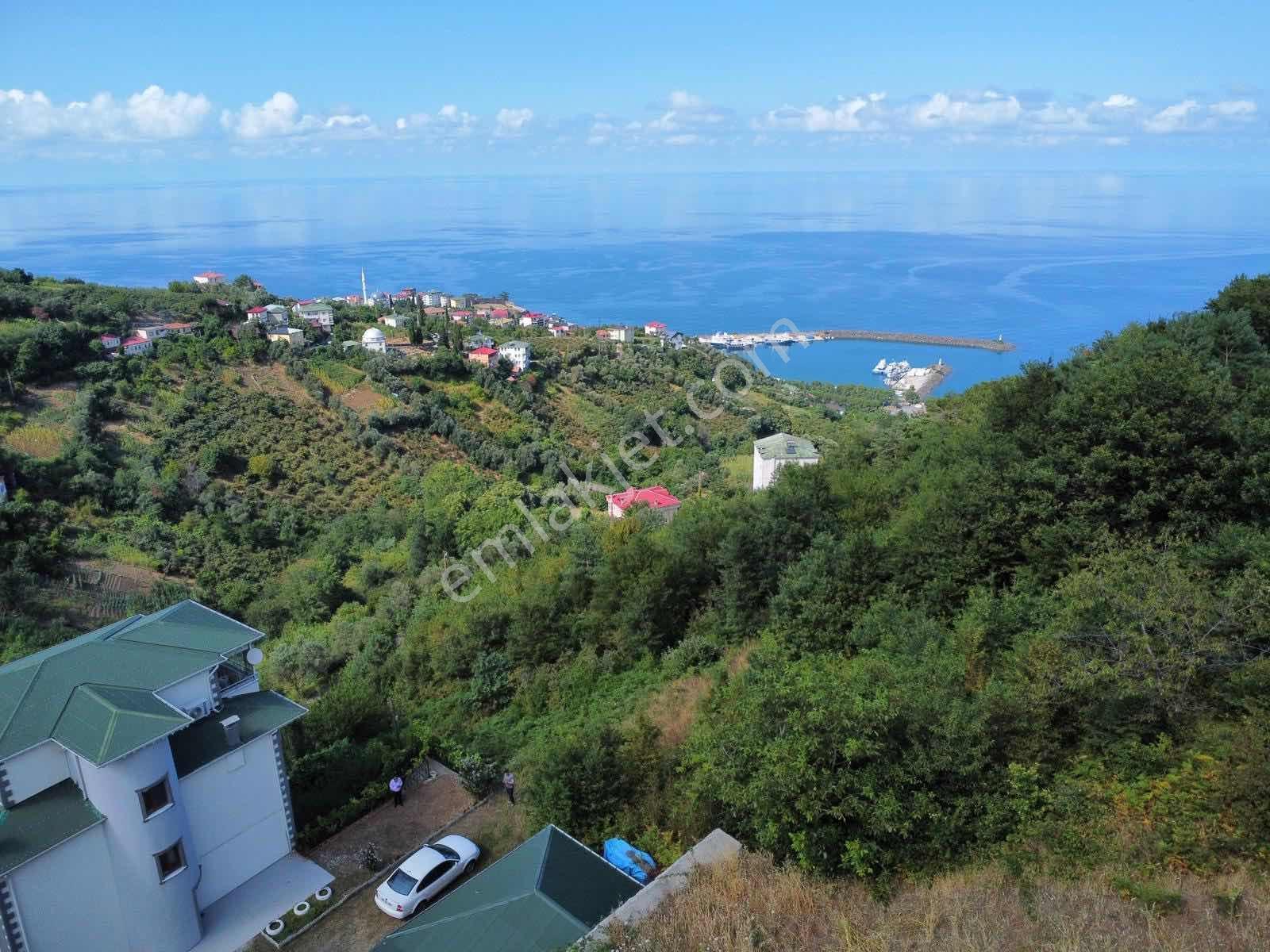 Trabzon Akçakale Manzaralı İmarlı Arsa Takasa Açık — fotoğraf 13