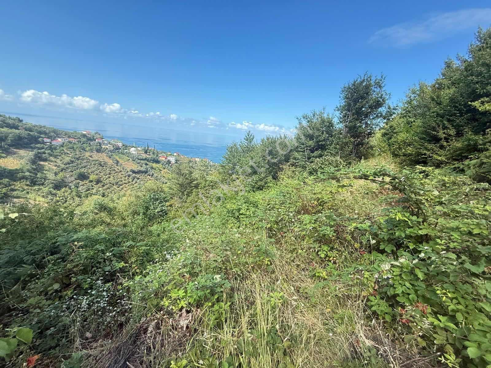Trabzon Akçakale Manzaralı İmarlı Arsa Takasa Açık — fotoğraf 15