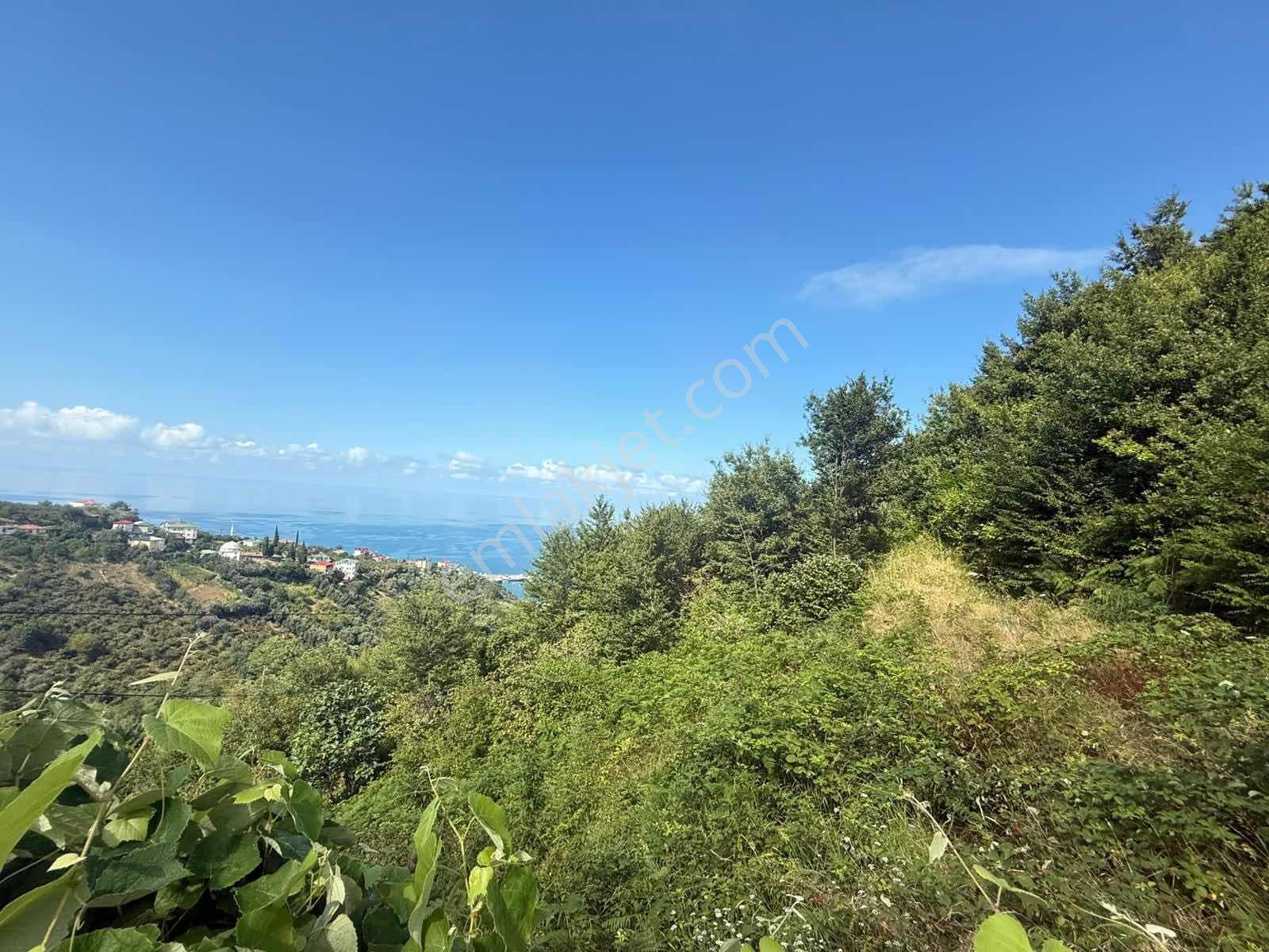 Trabzon Akçakale Manzaralı İmarlı Arsa Takasa Açık — fotoğraf 16