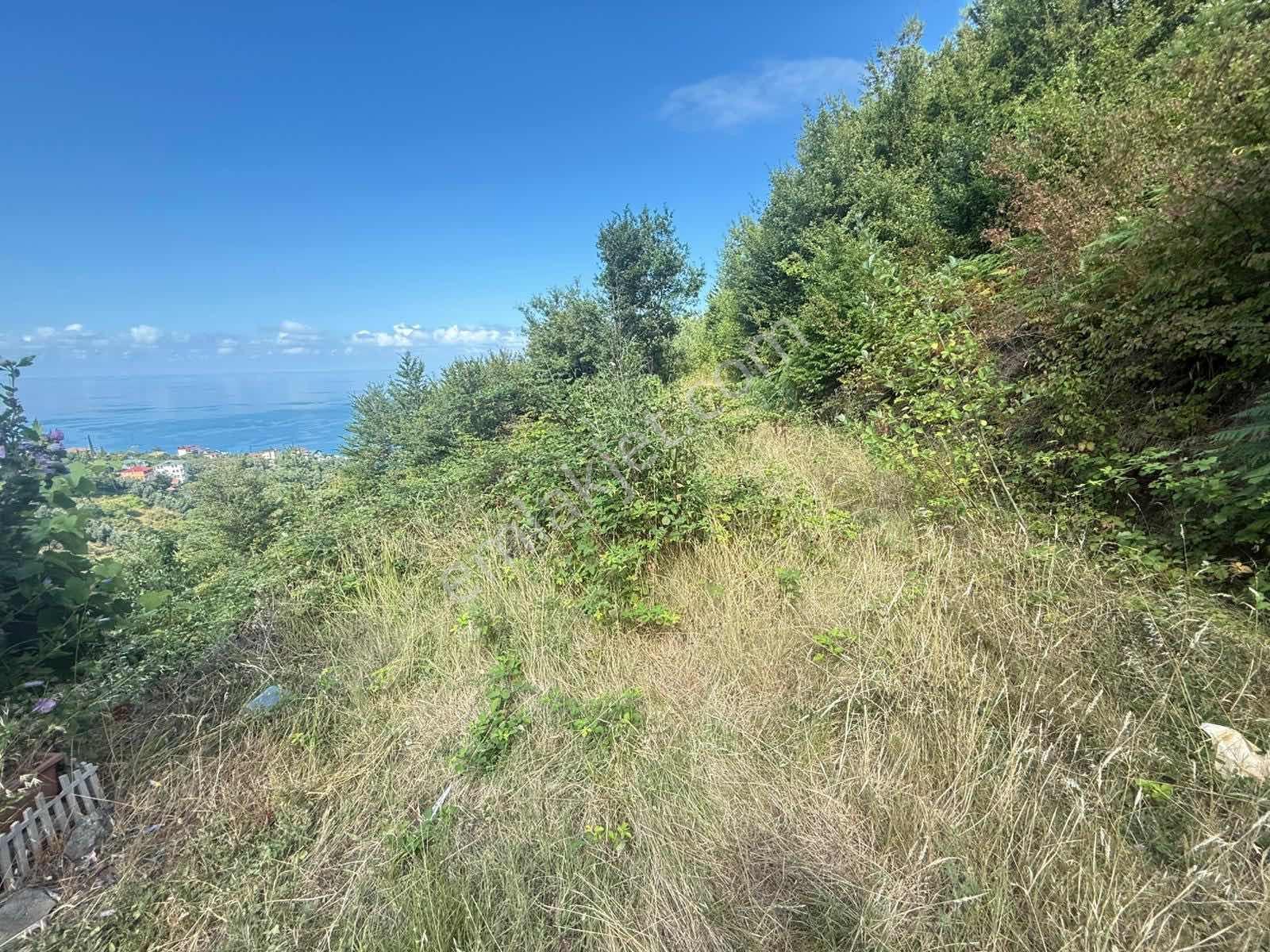 Trabzon Akçakale Manzaralı İmarlı Arsa Takasa Açık — fotoğraf 17