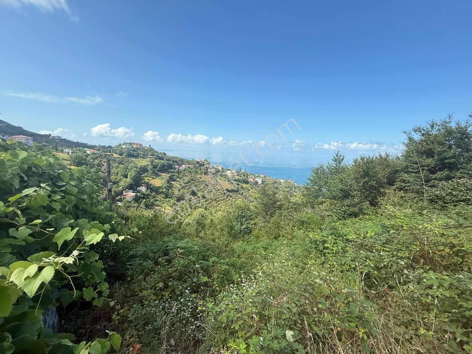 Trabzon Akçakale Manzaralı İmarlı Arsa Takasa Açık — fotoğraf 18