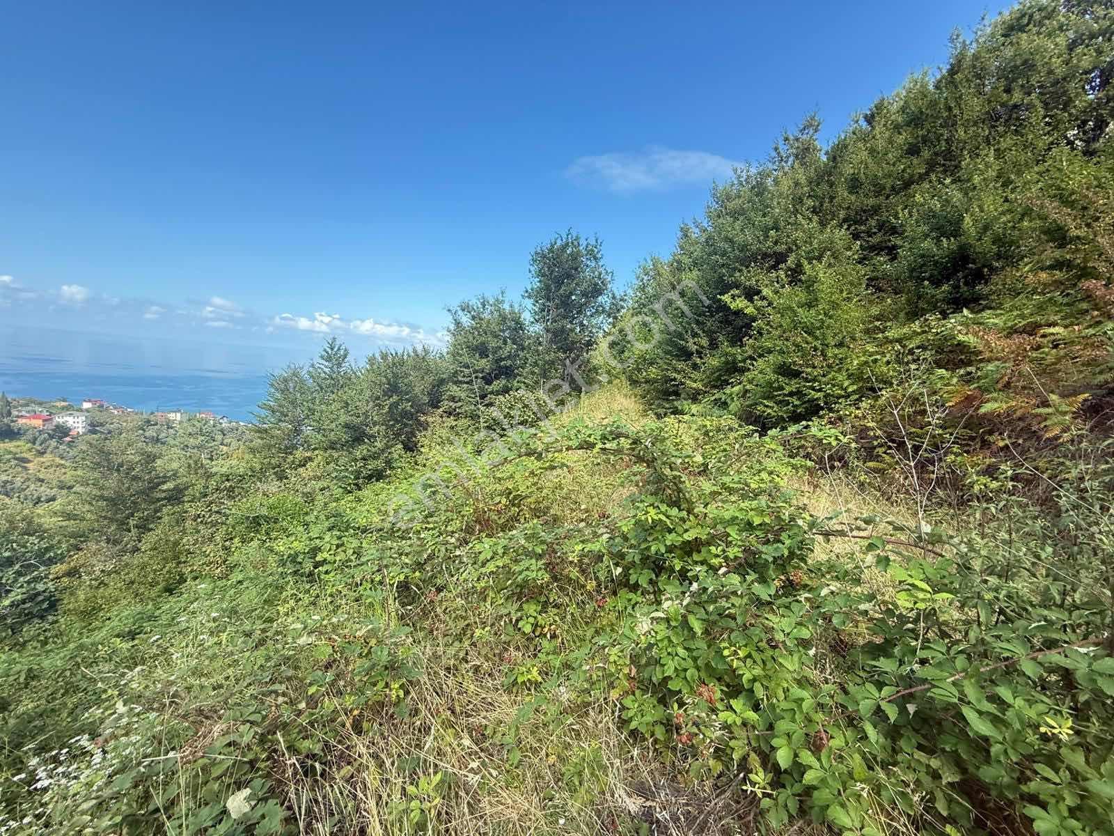 Trabzon Akçakale Manzaralı İmarlı Arsa Takasa Açık — fotoğraf 19