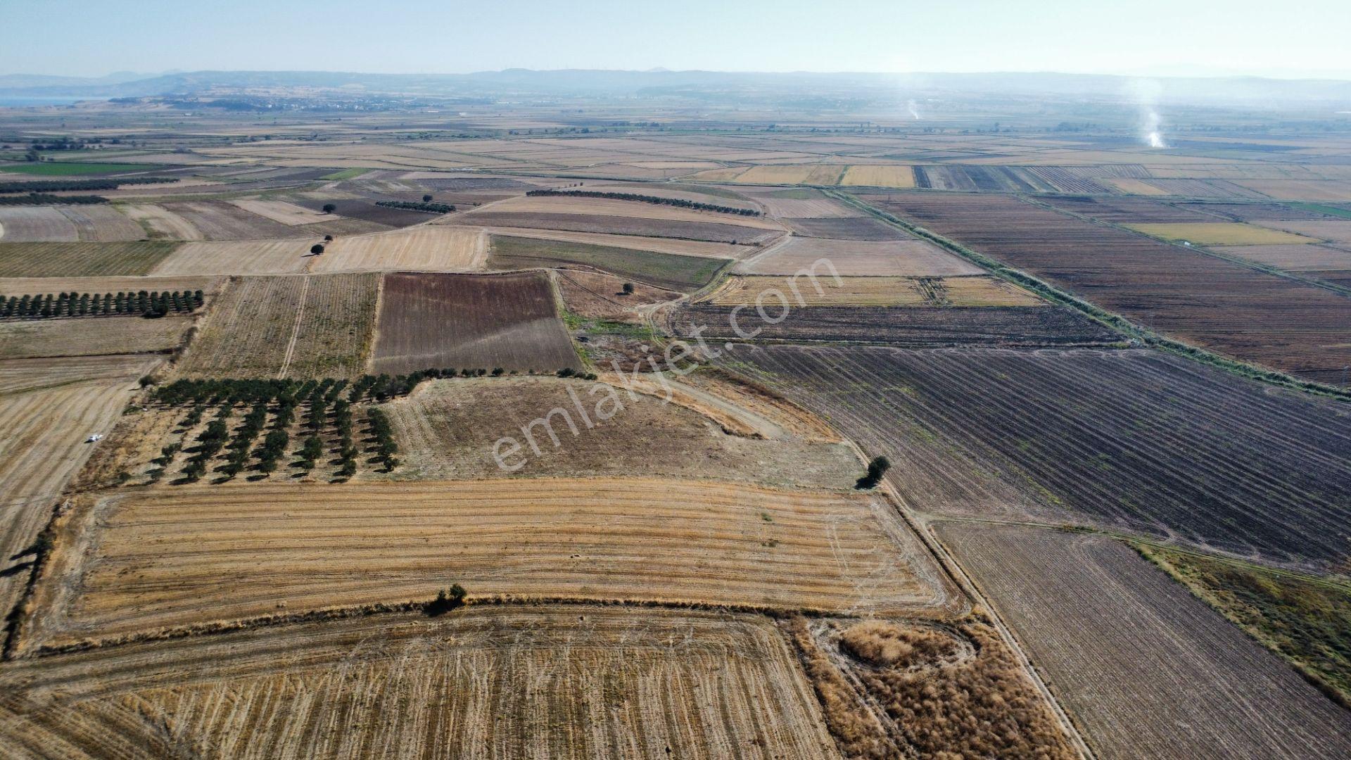 Kumkale'de 14.000 M2 İçinde Zeytin Olan Tarlamız Satılıktır — fotoğraf 14