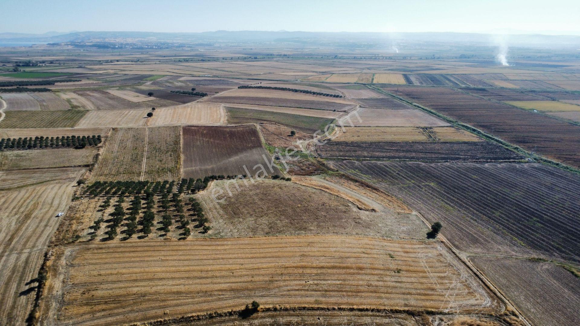 Kumkale'de 14.000 M2 İçinde Zeytin Olan Tarlamız Satılıktır — fotoğraf 15