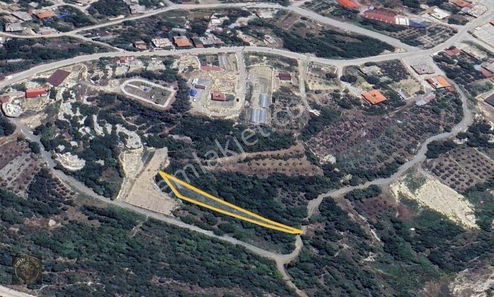 Samandağ Yaylıca Bölgesinde Satılık 602 M2 Bahçe Arazi