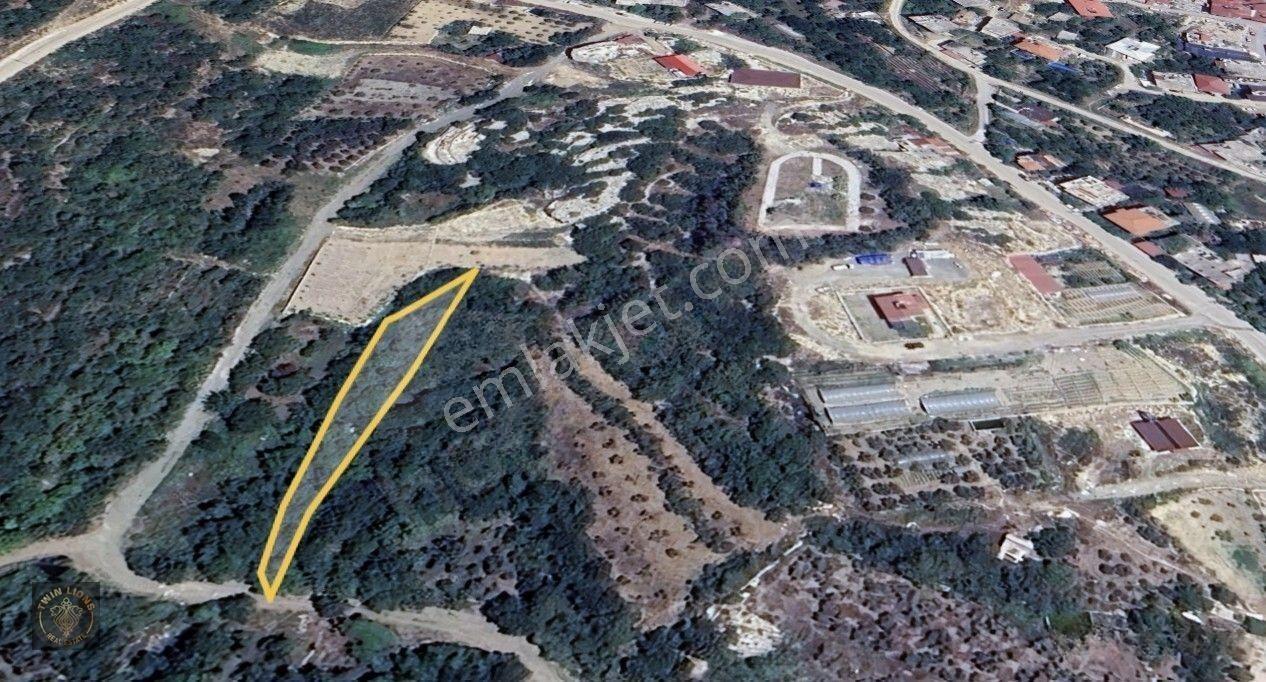 Samandağ Yaylıca Bölgesinde Satılık 602 M2 Bahçe Arazi — fotoğraf 2