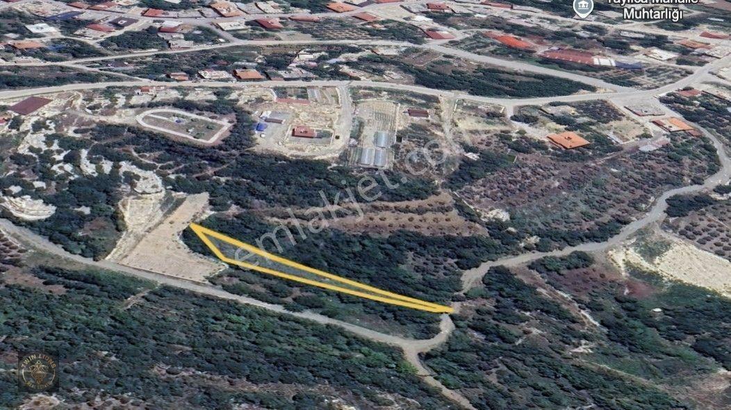 Samandağ Yaylıca Bölgesinde Satılık 602 M2 Bahçe Arazi — fotoğraf 5