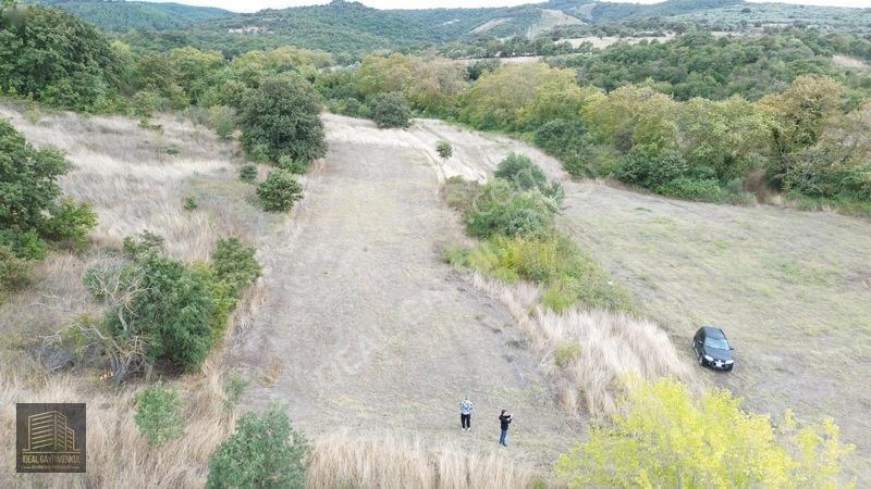 Hobi Bahçesi Ve Yatırım İçin İdeal: Lapseki Şefketiye 155 Ada 45