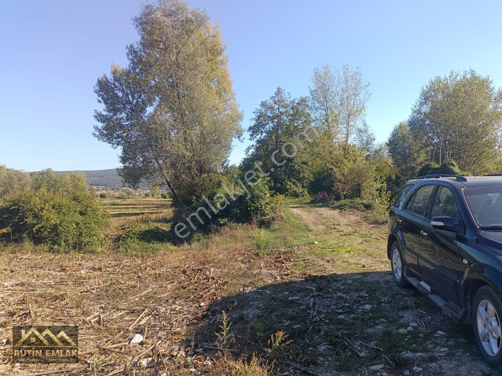 Bolu Merkez (çatakören Köyü) Satılık (5678m2) Tarla — fotoğraf 4