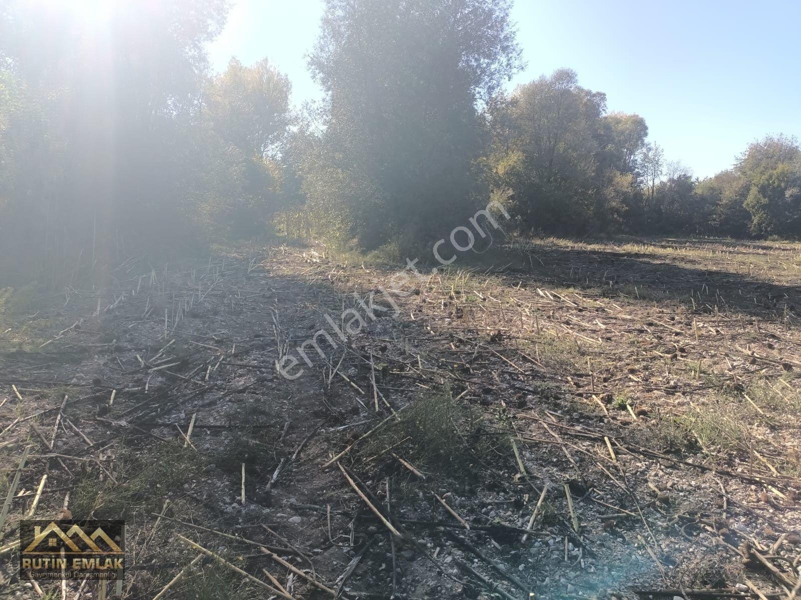 Bolu Merkez (çatakören Köyü) Satılık (5678m2) Tarla — fotoğraf 5