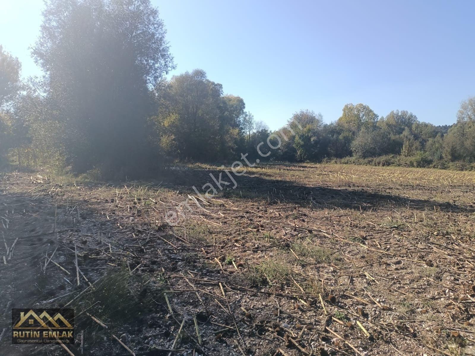 Bolu Merkez (çatakören Köyü) Satılık (5678m2) Tarla — fotoğraf 6
