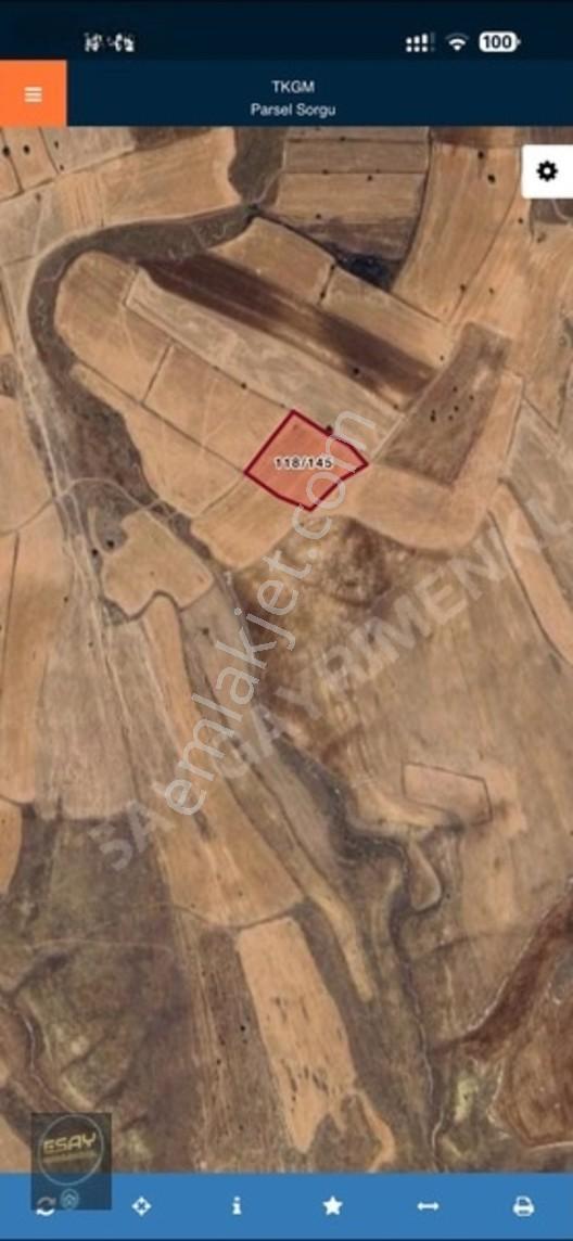 Porsuk Köyü'nde Tek Tapu 11.883 M² Satılık Tarla — fotoğraf 2