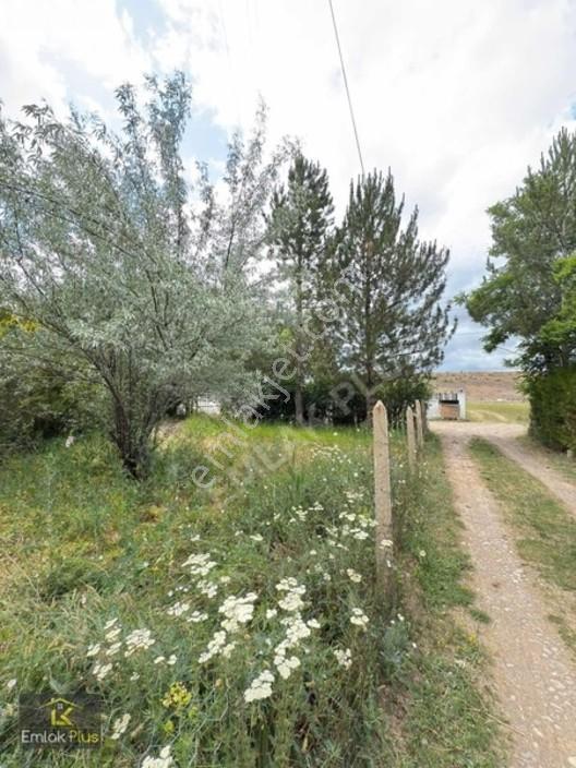 Emlak Plus'tan Satılık Villa Arsası — fotoğraf 3