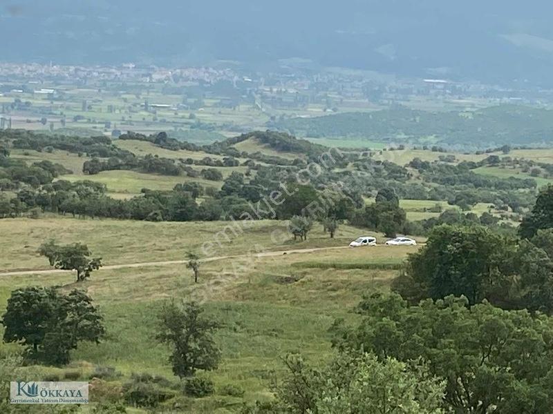 Kökkaya'dan Balıkesir Sındırgıda 16.200 M² Müstakil Parsel