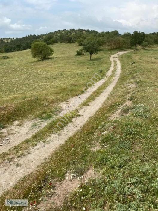 Kökkaya'dan Balıkesir Sındırgıda 16.200 M² Müstakil Parsel — fotoğraf 2