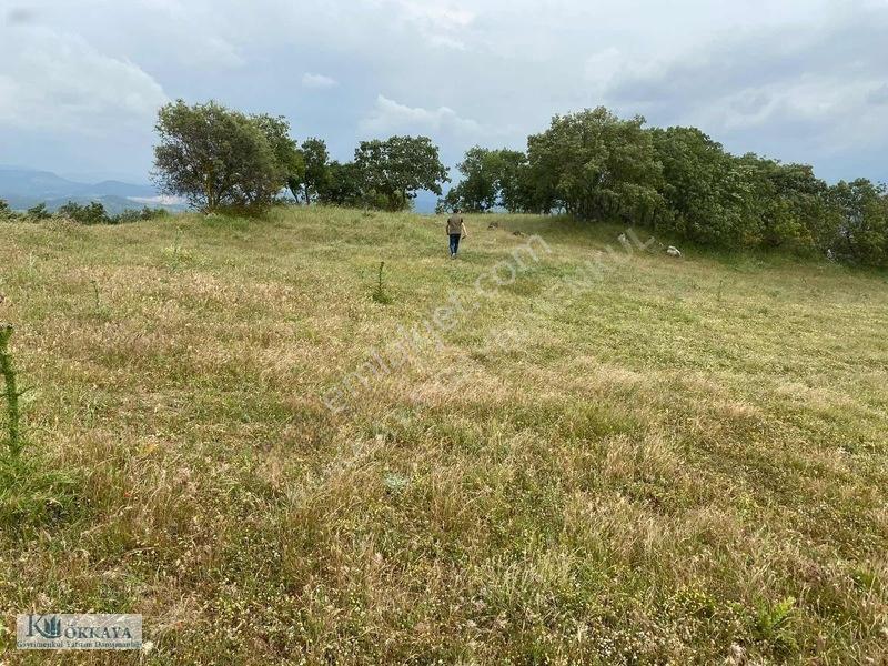 Kökkaya'dan Balıkesir Sındırgıda 16.200 M² Müstakil Parsel — fotoğraf 4