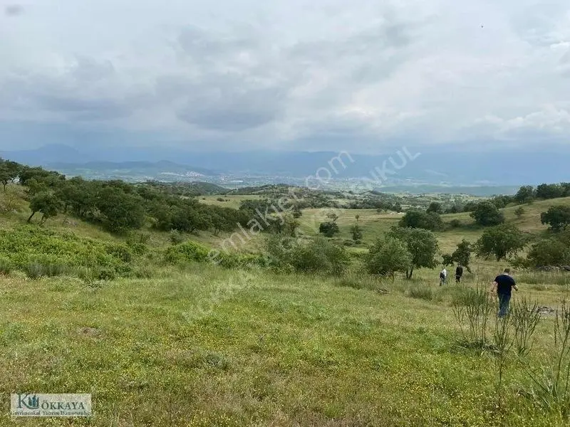Kökkaya'dan Balıkesir Sındırgıda 16.200 M² Müstakil Parsel — fotoğraf 5