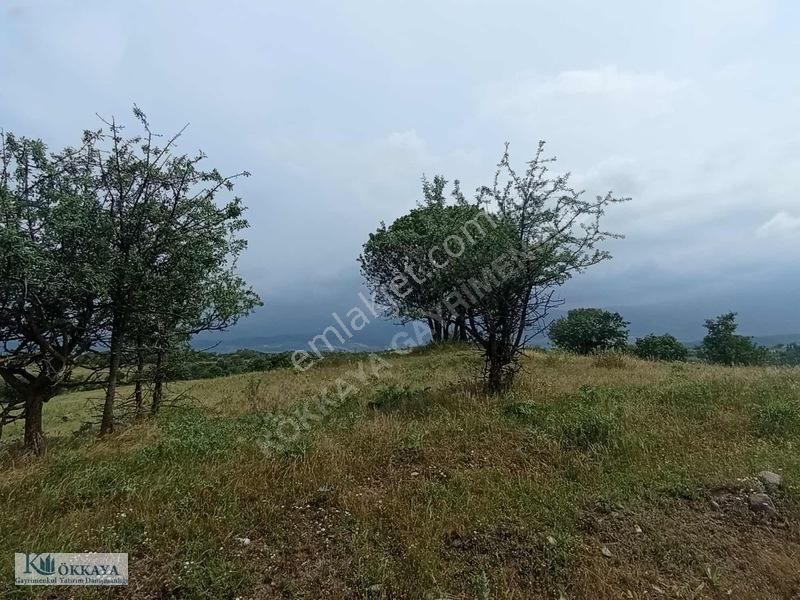 Kökkaya'dan Balıkesir Sındırgıda 16.200 M² Müstakil Parsel — fotoğraf 6