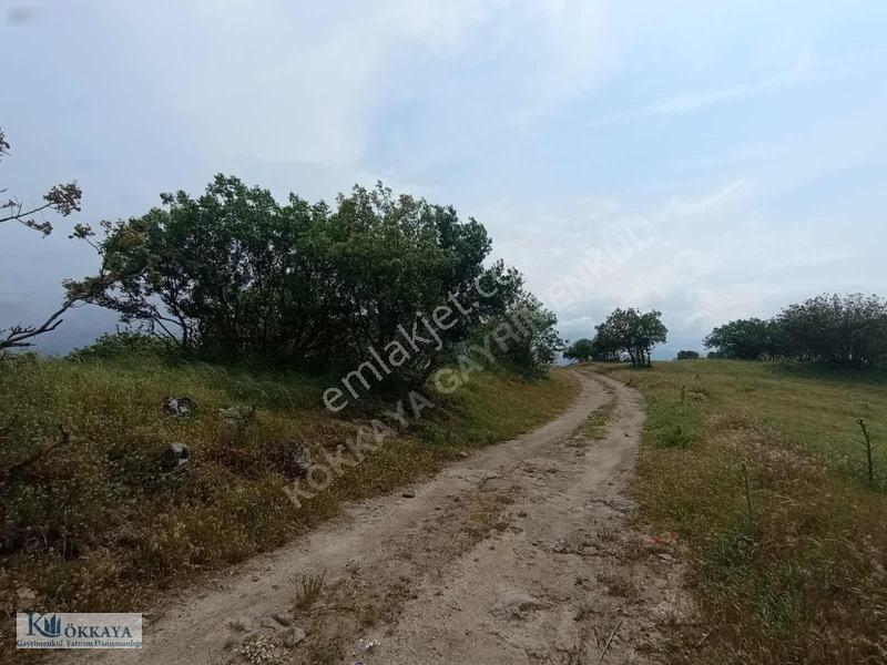 Kökkaya'dan Balıkesir Sındırgıda 16.200 M² Müstakil Parsel — fotoğraf 7