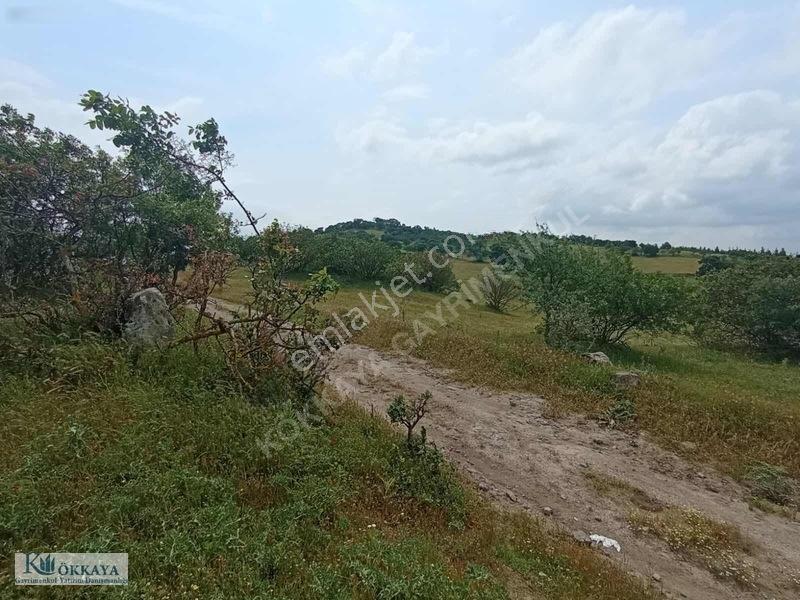 Kökkaya'dan Balıkesir Sındırgıda 16.200 M² Müstakil Parsel — fotoğraf 8