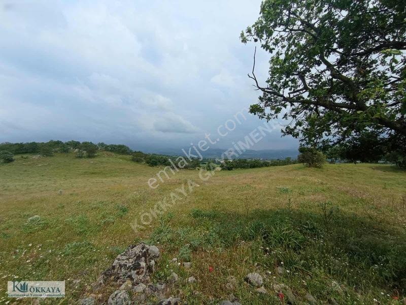 Kökkaya'dan Balıkesir Sındırgıda 16.200 M² Müstakil Parsel — fotoğraf 9
