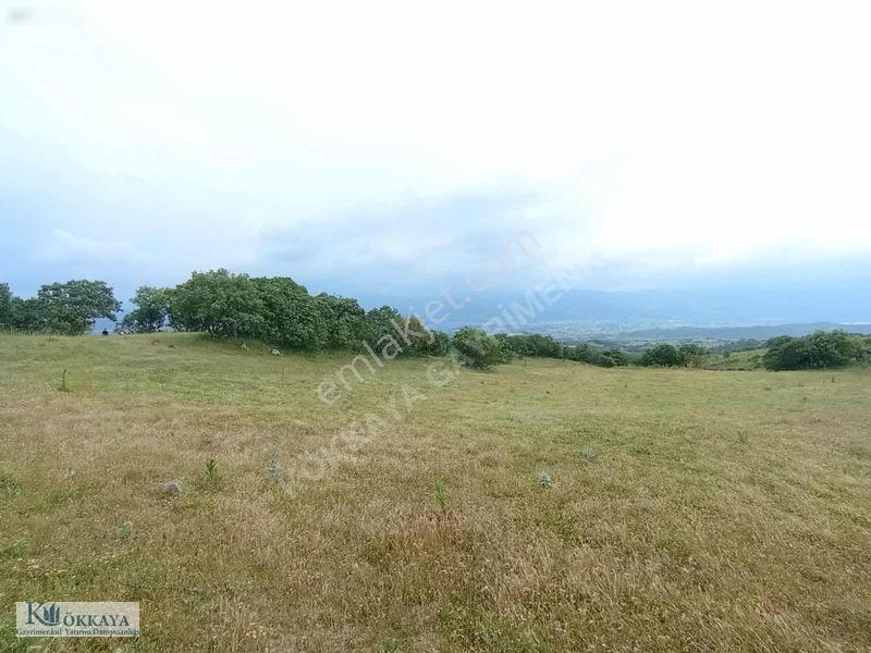 Kökkaya'dan Balıkesir Sındırgıda 16.200 M² Müstakil Parsel — fotoğraf 10