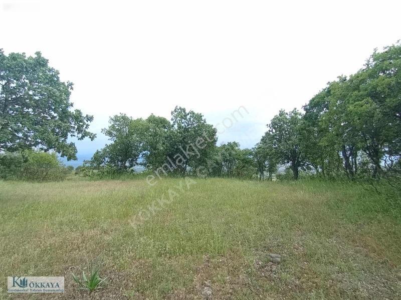 Kökkaya'dan Balıkesir Sındırgıda 16.200 M² Müstakil Parsel — fotoğraf 11