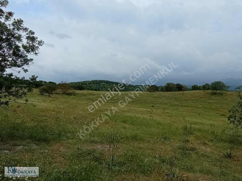 Kökkaya'dan Balıkesir Sındırgıda 16.200 M² Müstakil Parsel — fotoğraf 13