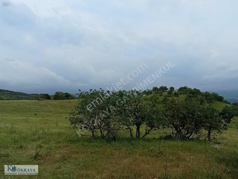 Kökkaya'dan Balıkesir Sındırgıda 16.200 M² Müstakil Parsel — fotoğraf 14