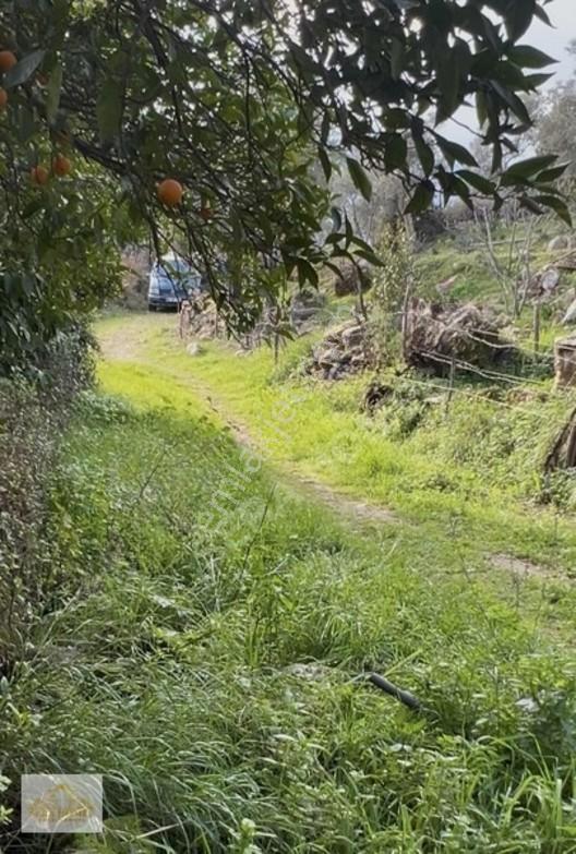 Bodrum Yoluna 37 Km Mesafede Satılık 160 M2 Nareciye Bahçesi — fotoğraf 5