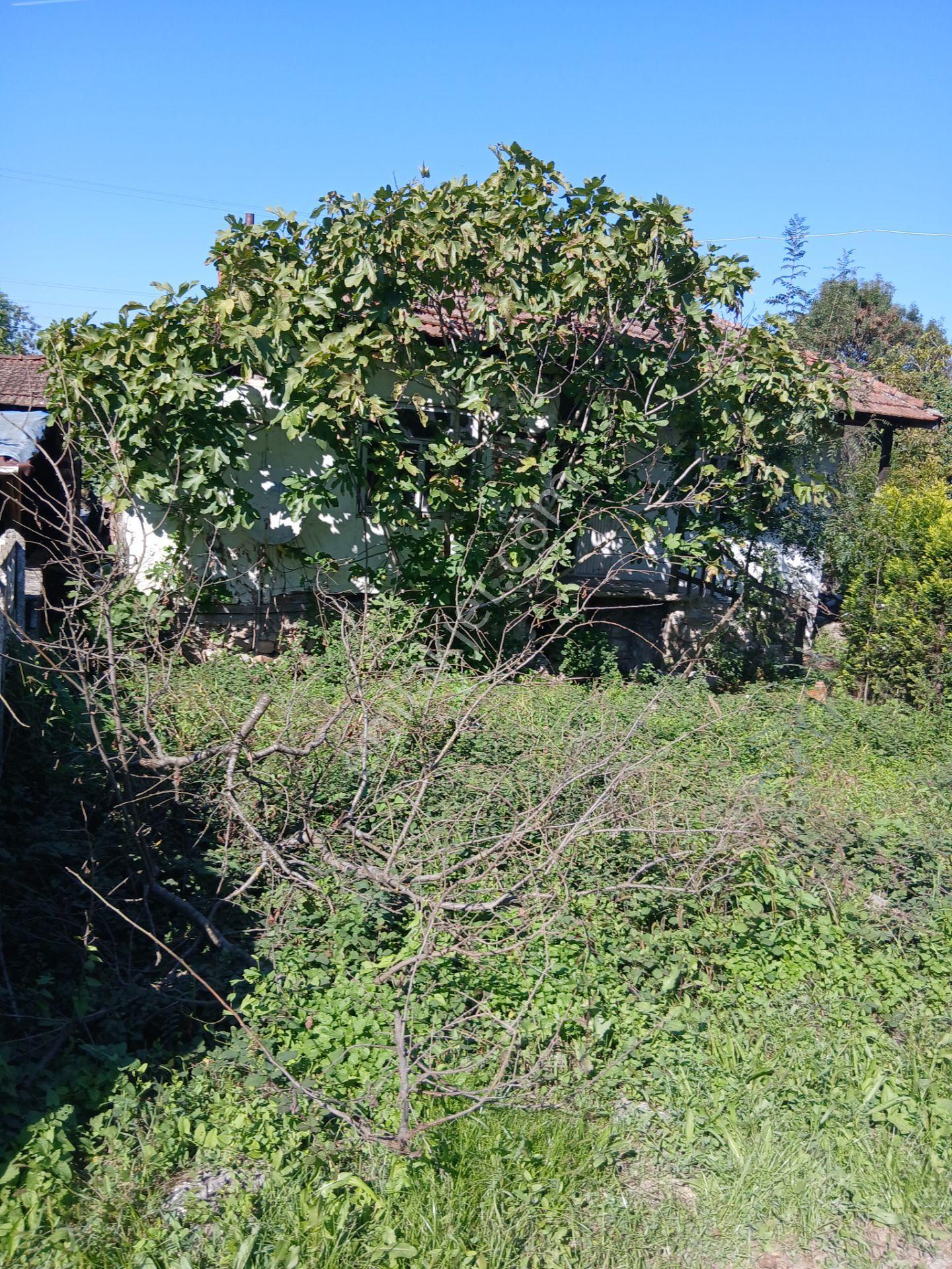 Sapanca Uzunkun Köy İci Göle 300 Metre Medafede İçinde Mustakil Ev Olan 248.m² Yer Satılık — fotoğraf 3