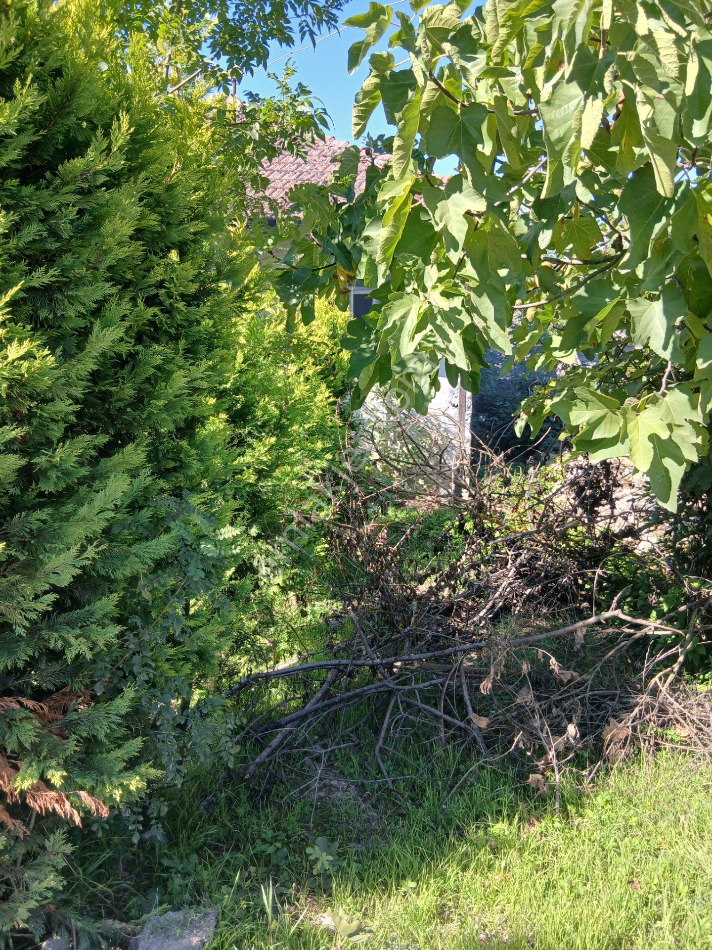 Sapanca Uzunkun Köy İci Göle 300 Metre Medafede İçinde Mustakil Ev Olan 248.m² Yer Satılık — fotoğraf 4