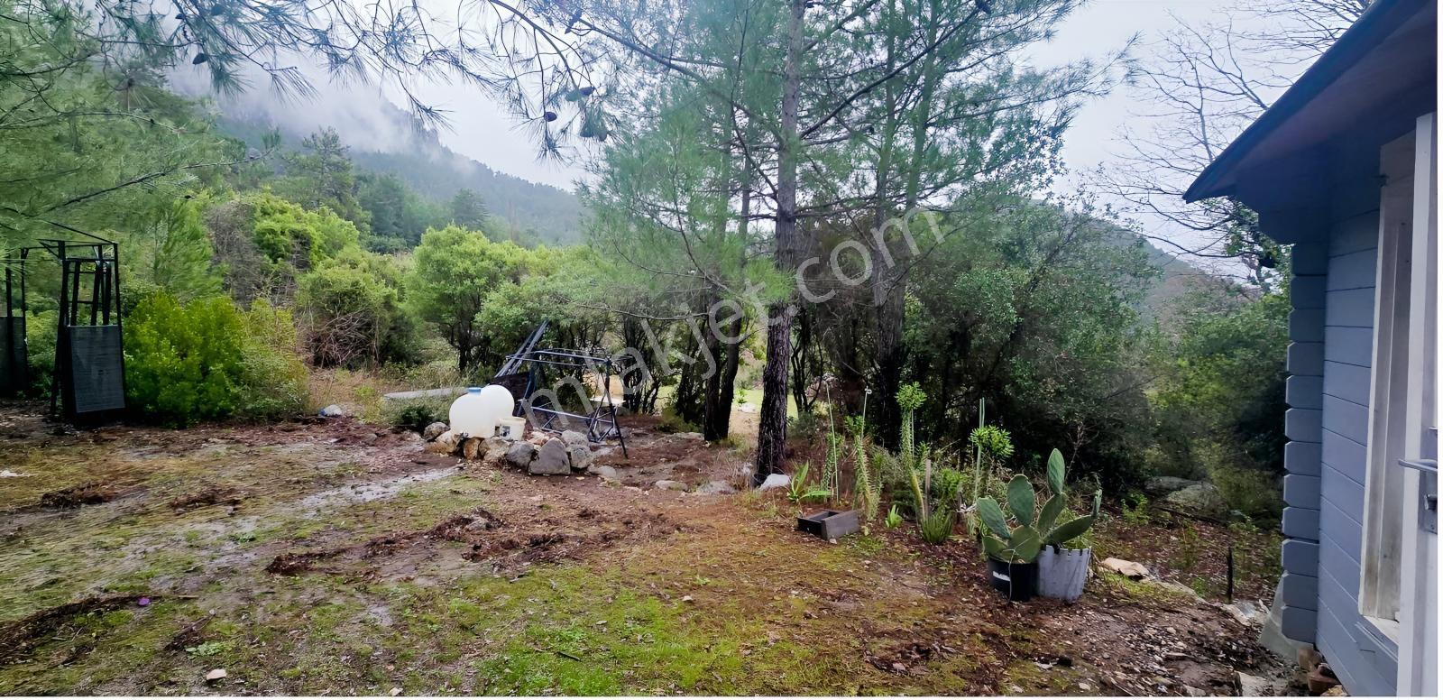 Çok Acil Satılık Yatırımlık 1614 M2 Tarla — fotoğraf 2