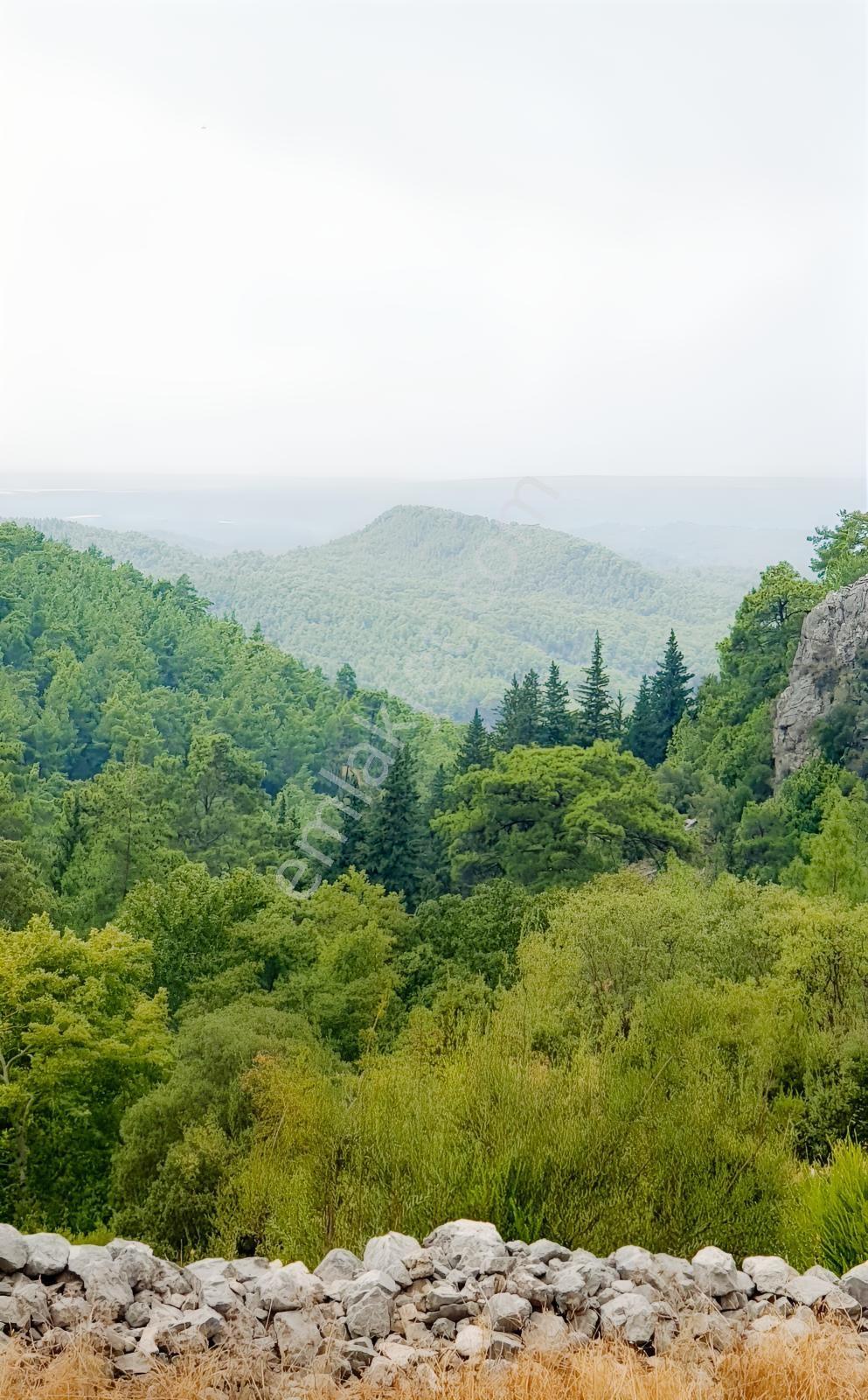 Çok Acil Satılık Yatırımlık 1614 M2 Tarla — fotoğraf 6