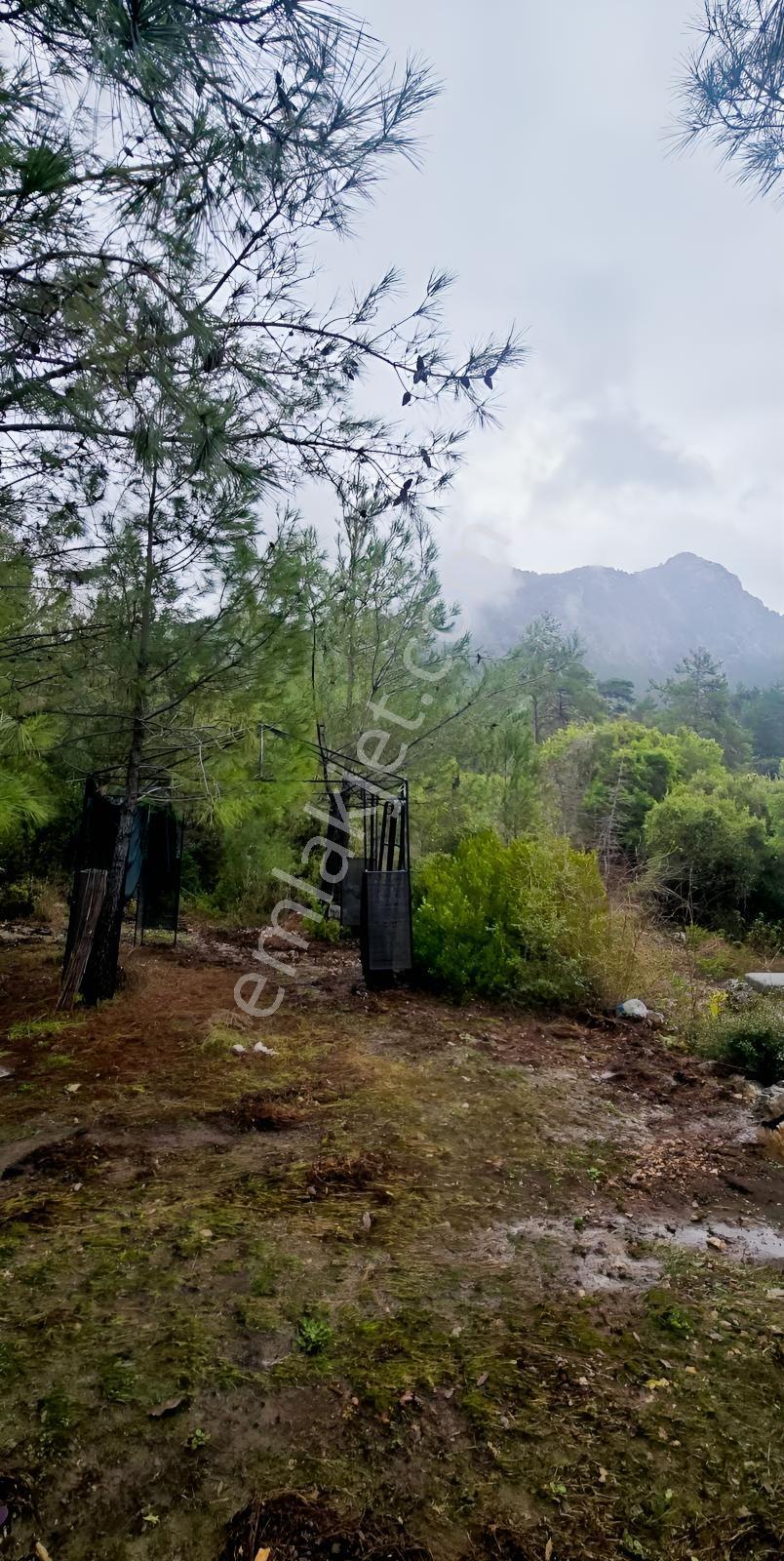 Çok Acil Satılık Yatırımlık 1614 M2 Tarla — fotoğraf 7