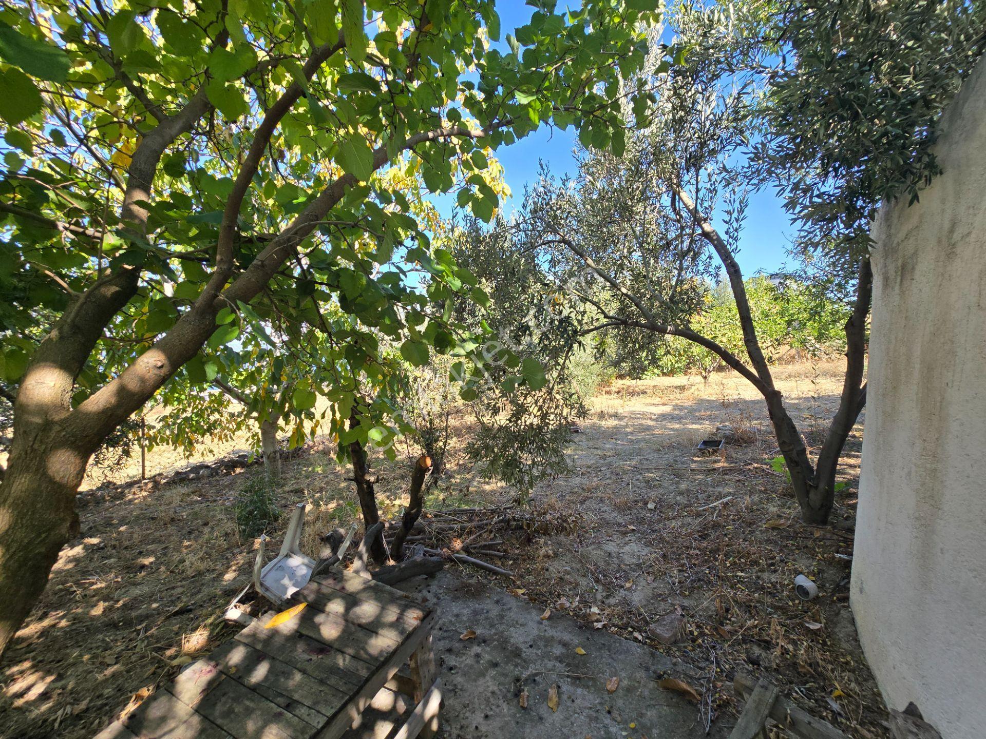Erenköyde Kapanmaz Deniz Ve Abide Manzaralı 433 M2 Arsa — fotoğraf 14